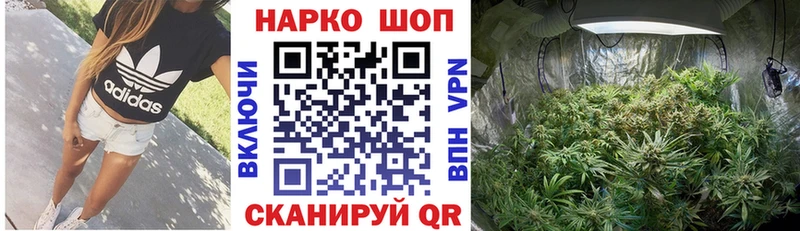 Купить наркотик аптеки Егорьевск A PVP  АМФ  Гашиш  Бошки Шишки  Мефедрон 