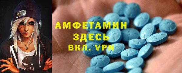 PSILOCYBIN Горняк