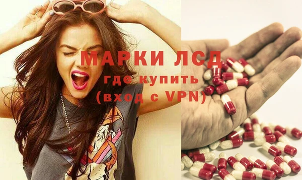 PSILOCYBIN Горняк
