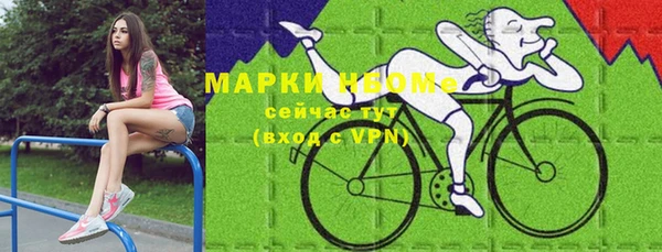 PSILOCYBIN Горняк