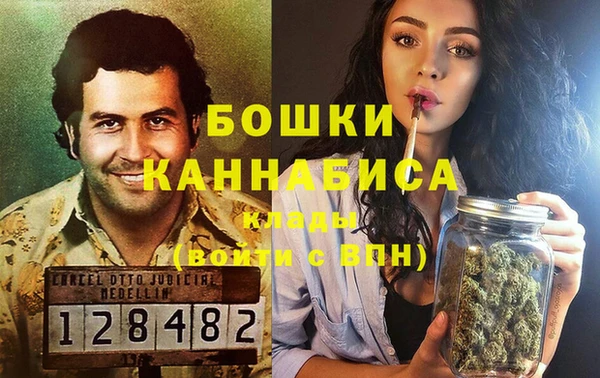 PSILOCYBIN Горняк