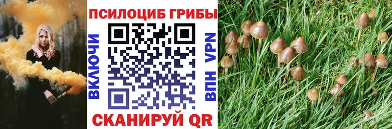 Псилоцибиновые грибы Magic Shrooms  Егорьевск 