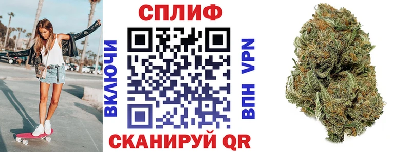 Бошки Шишки White Widow  где купить наркоту  Егорьевск 